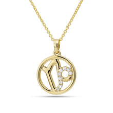 Load image into Gallery viewer, Zodiac Medallions: Capricorn
